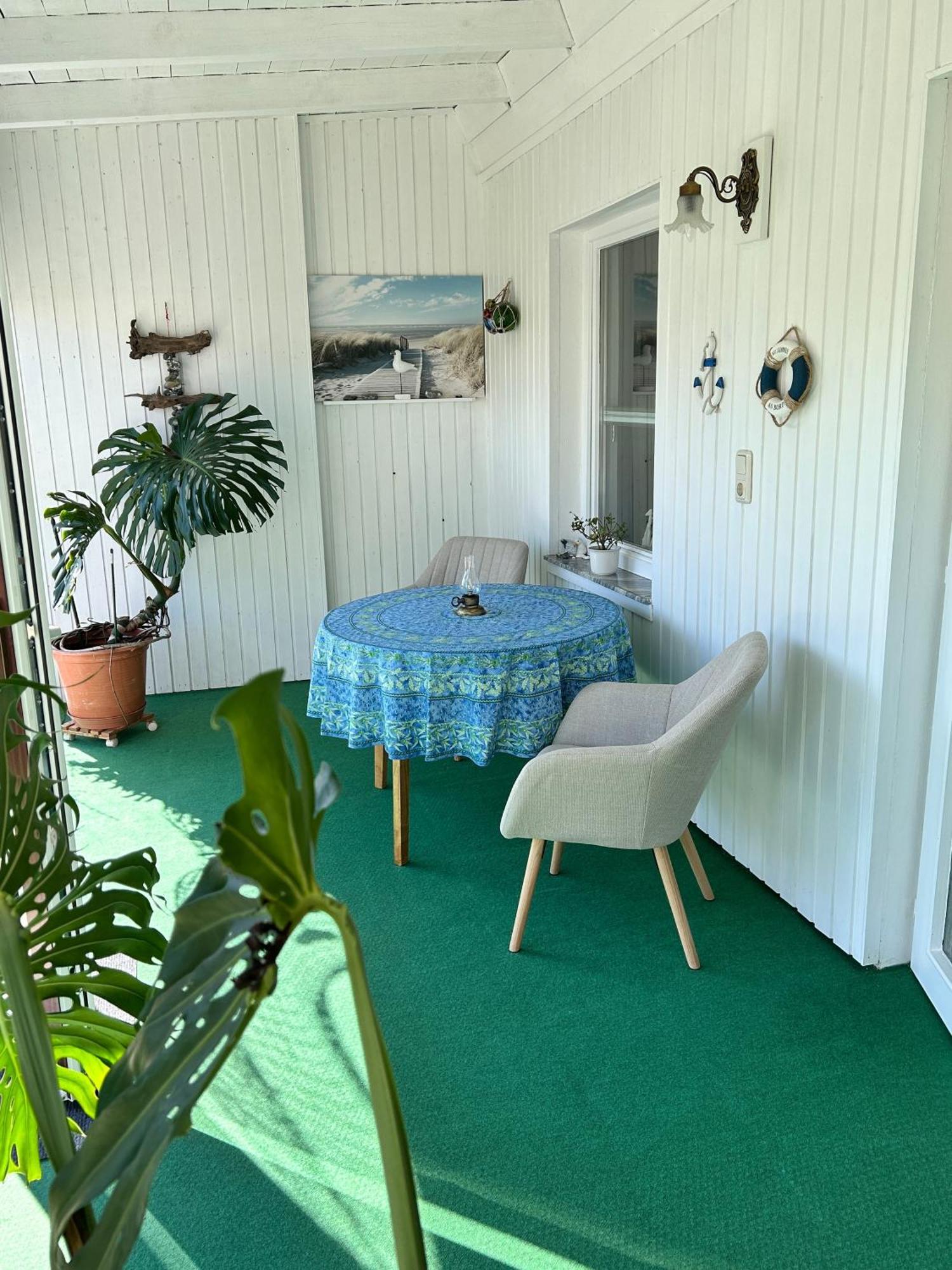 Schneider Fw 1 Leilighet Zingst Eksteriør bilde